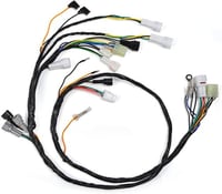 ضفيرة بانشي وكالة