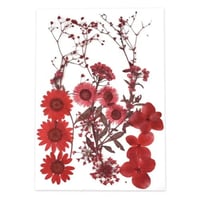 ورد مجفف ملون 009