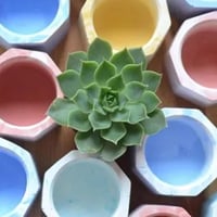 قالب سيليكون اوعية زراعية 3 خانات