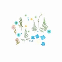 ورد مجفف مجموعة ألوان أزرق رقم 15 ( H105 )