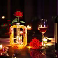 قالب سيليكون لتنمية النبات