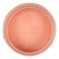 10- لون ريزن ميتاليك نود 50غ