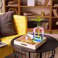 قالب سيليكون لتنمية النبات