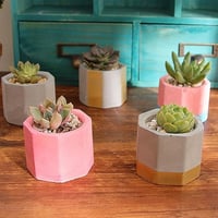 قالب سيليكون اوعية زراعية 3 خانات