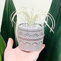 قالب سيليكون لأواني الزهور بتصميم كلاسيكي