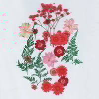 ورد مجفف مجموعة ألوان أحمر رقم 16 ( H106 )