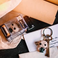 صندوق هاري ضد فولدمورت