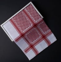 بوكس ملكي جيفنشي