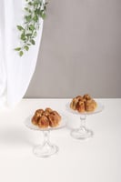 ستاند تقديم