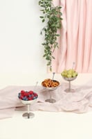 ستاند تقديم