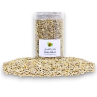 حب شمسي مقشور طبيعي