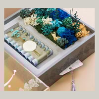 هدية بنان - حجم متوسط