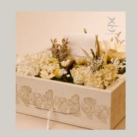 هدية بنان - حجم متوسط