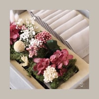 هدية العائلة