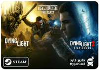 بكج داينق لايت | PC