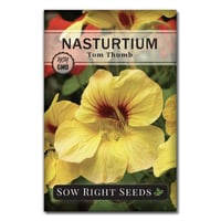 خليط بذور أزهار الكبوسين قابلة للأكل ( أبو خنجر )