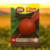 بذور شمندر Sais الإيطالية ديترويت 2