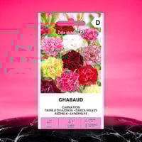 بذور خليط أزهار القرنفل كارنيشن