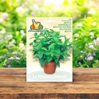 بذور نعناع فلفلي إيطالي