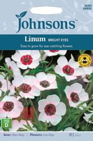 بذور زهرة لينيوم العيون المشرقة