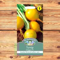 بذور لفت أصفر هجينة Oregon F1