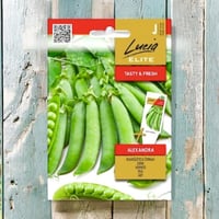 بذور بازلاء قزمية أليكسندرا