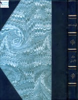 الومضات في تخريج أحاديث كتاب الديات