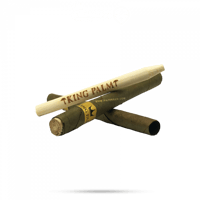 كنج بالم بطيخ