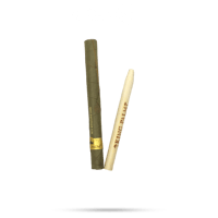 كنج بالم ماجيك مينت