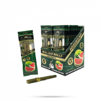 كنج بالم بطيخ