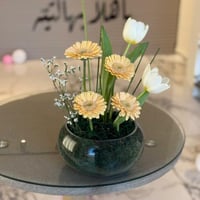 فازة جربيرا