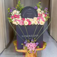 تنسيق هانوفريان