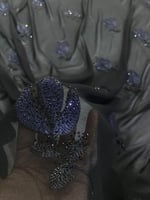 قماش شيفون تطريز خيط وكرستال ٣ متر عرضين