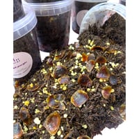 بخور جنوبي ( شيخة الجنوب ) ١ كيلو