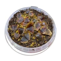 بخور جنوبي ( شذى الجنوب ) ١ كيلو