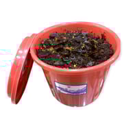 بخور سحر الجنوب سطل