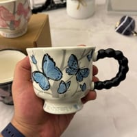 مق بورسلين بونشينا