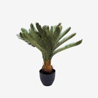 شجرة نخل65 سم بمركن