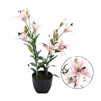 خضار 57 سم ورد زهري فاتح بمركن اسود