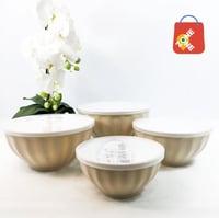 طقم حافظات بلاستيك 4 قطع متعدد الألوان