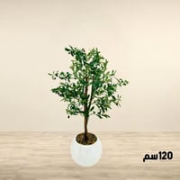 شجرة زيتون زينة يمركن كبير طول 120 سم