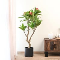 شجرة بلوميريا صناعية – ارتفاع 90سم