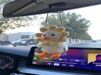 تعليقة سيارة بطة