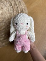 ارنب ناعم صغير