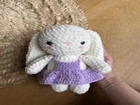 ارنب ناعم صغير