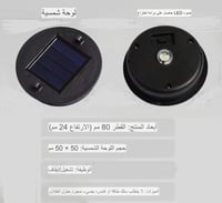 فانوس شكل ورود صيني -إيجار