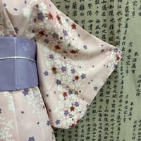 يوكاتا وردي مع حزام فيونكة