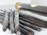 أعواد فانيليا بلانيفوليا أوغندا