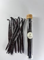 أعواد فانيليا بلانيفوليا أوغندا