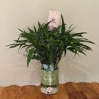 بامبو طبيعي في فازة زجاجية – هدية منزل مبارك - زيا...